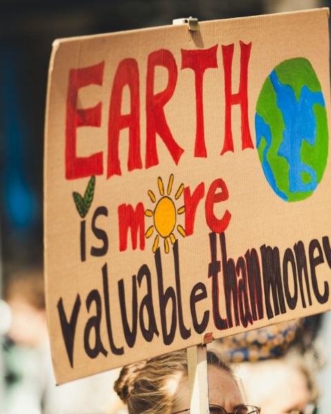 Earth is more valuable than money signage