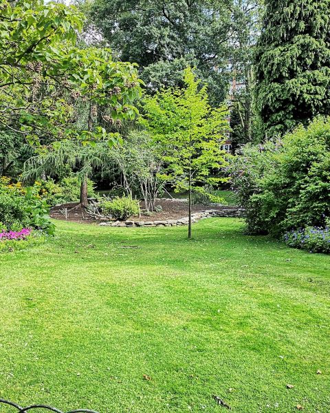green grass field with trees