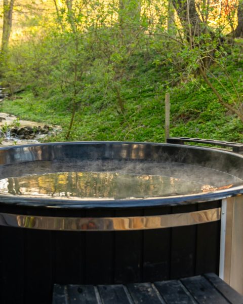 a hot tub sitting in the middle of a forest