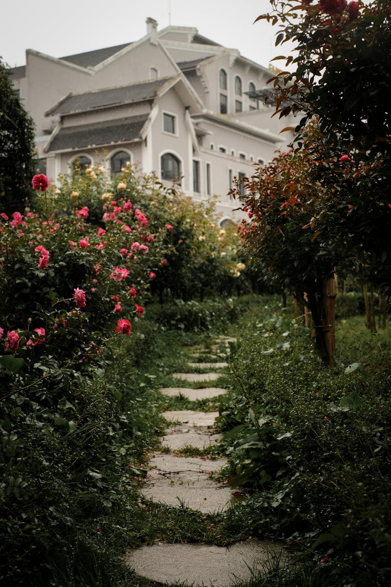 Charming garden pathway surrounded by colorful roses and greenery in a peaceful Vietnamese setting.